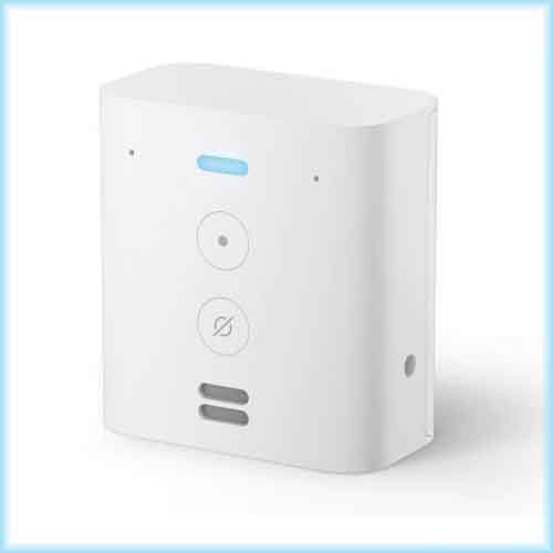 Amazon unveils Echo Flex in India