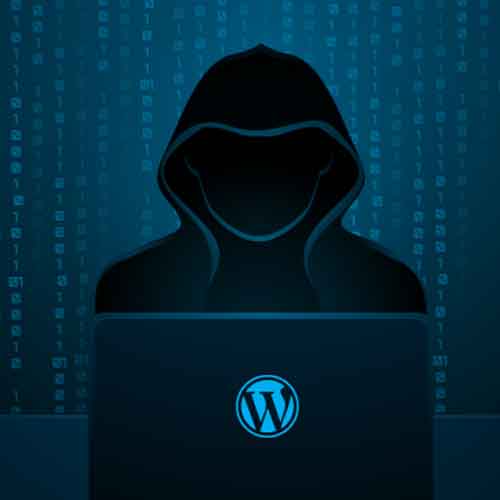 Critical bug in Wordpress plugin