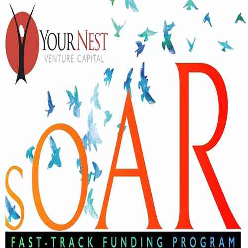 YourNest launches fast-track funding plan for early-stage startups