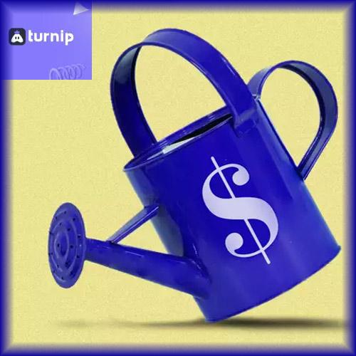 Elevation Capital provides $1.63 mn funding to Turnip