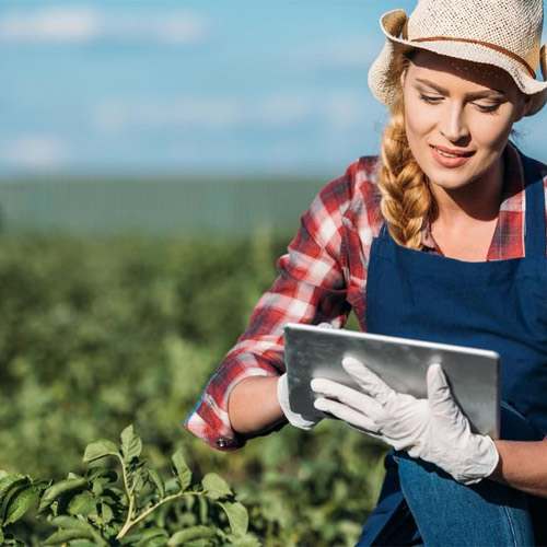 AI could play crucial role in growth of farm sector AI could play crucial role in growth of farm sector