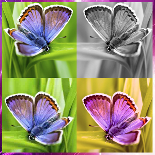 Google releases beta version of SynthID to identify AI images Google releases beta version of SynthID to identify AI images