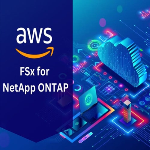 NetApp and AWS announce scale-out for Amazon FSx for ONTAP file systems NetApp and AWS announce scale-out for Amazon FSx for ONTAP file systems