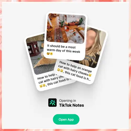 TikTok launching Notes to compete with Instagram TikTok launching Notes to compete with Instagram