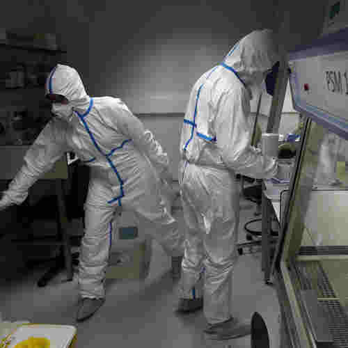 Israel's Defence lab starts testing COVID-19 vaccine