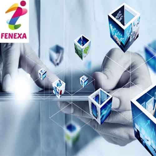 Fenexa is showing the way for the Indian System Integration Business